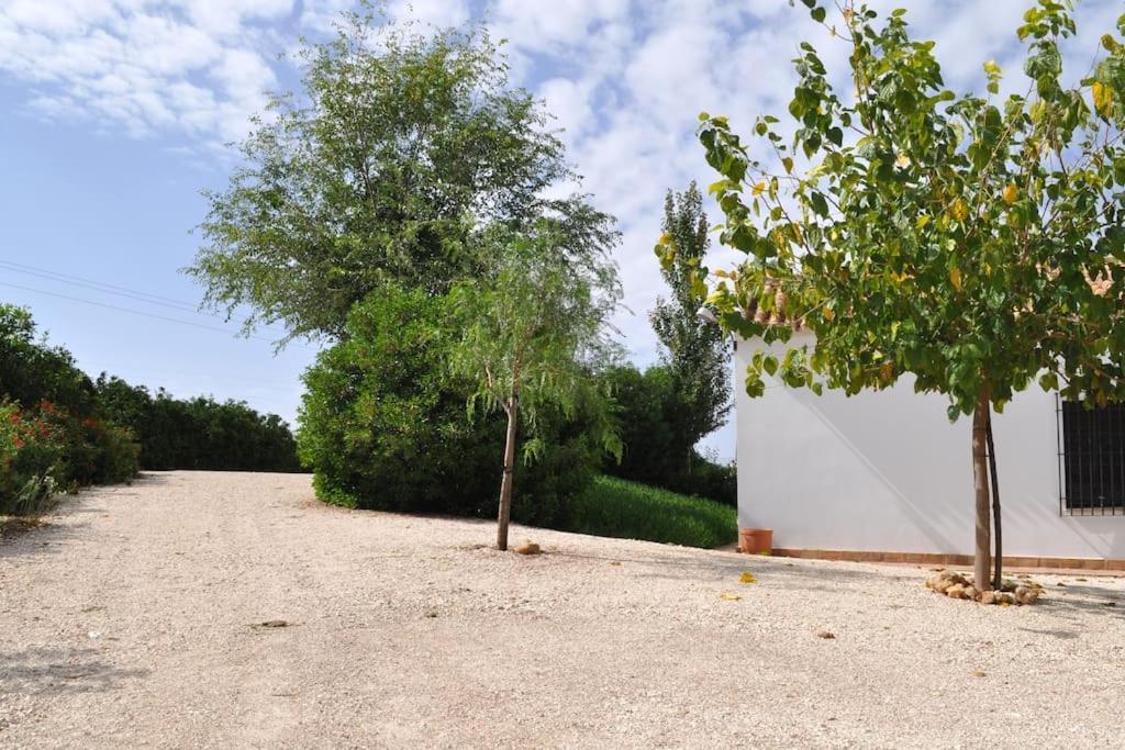 Casa Rural La Linana กอร์โดบา ภายนอก รูปภาพ