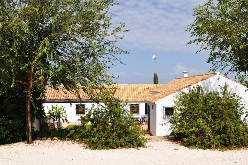 Casa Rural La Linana กอร์โดบา ภายนอก รูปภาพ